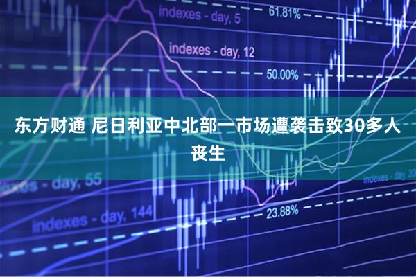 东方财通 尼日利亚中北部一市场遭袭击致30多人丧生