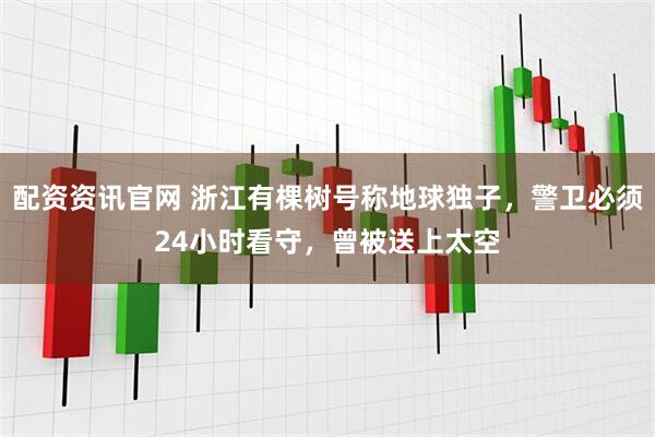 配资资讯官网 浙江有棵树号称地球独子，警卫必须24小时看守，曾被送上太空