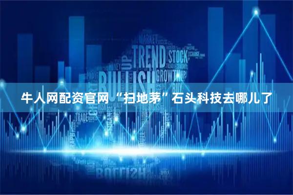 牛人网配资官网 “扫地茅”石头科技去哪儿了